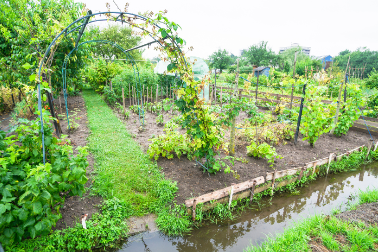 Nestor Emilio Huertas 22